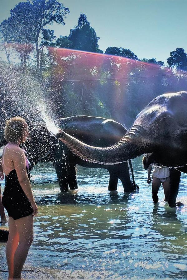Bukit Lawang Otel Dış mekan fotoğraf