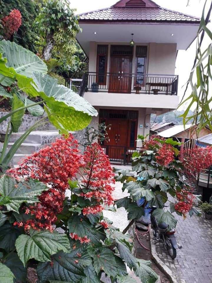 Bukit Lawang Otel Dış mekan fotoğraf